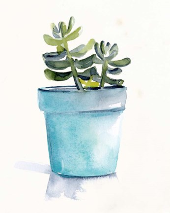 Framed Potted Succulent II Print