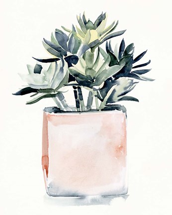 Framed Potted Succulent IV Print