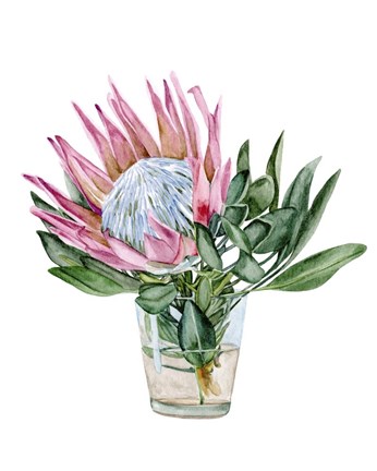 Framed Awaken Protea II Print