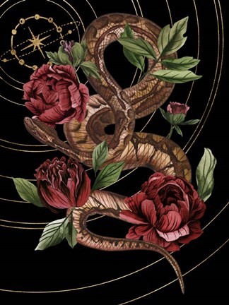 Framed Burn and Shine II Print