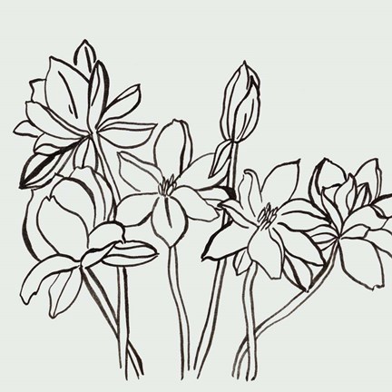 Framed Flamenco Dancer I Print