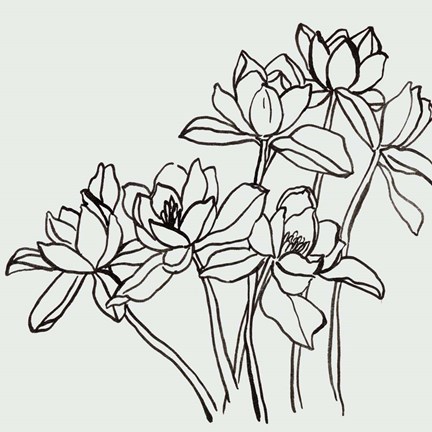 Framed Flamenco Dancer II Print