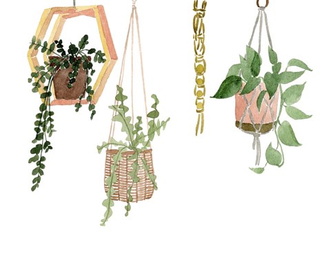 Framed Hanging Greens III Print