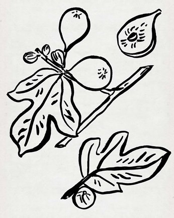 Framed Fig Season I Print