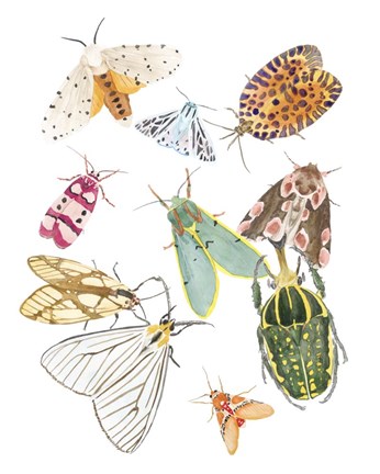 Framed On Stage II Print