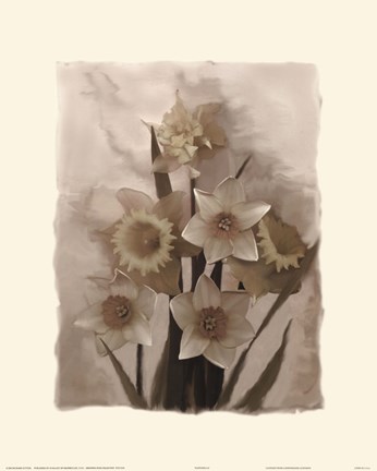 Framed Daffodils I Print