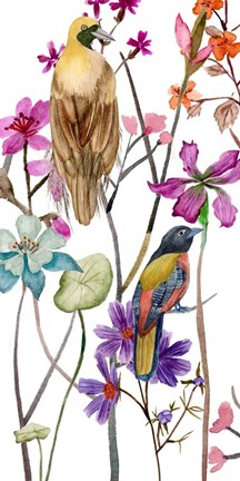 Framed Tangled Garden II Print