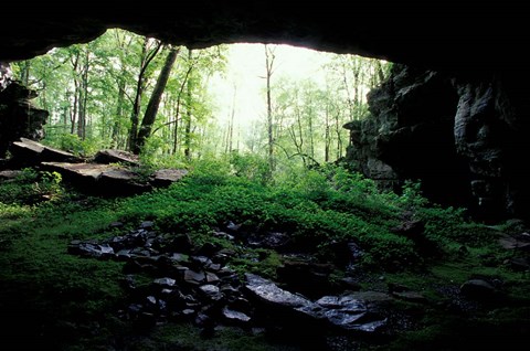 Framed Entrance to Russell Cave National Monument, Alabama Print