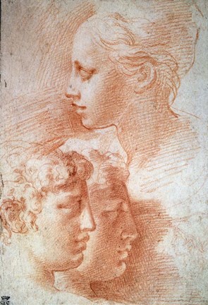 Framed Study of the Heads, c1527 Print