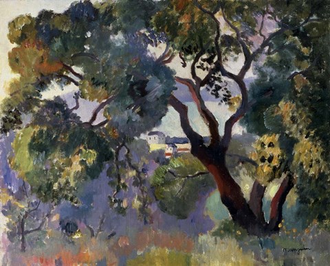 Framed Landscape in Saint-Tropez, 1905 Print