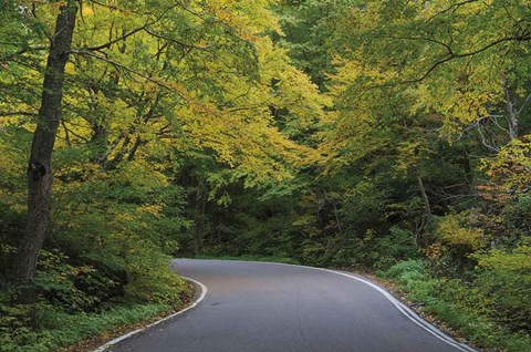 Framed Smugglers Notch Road Print