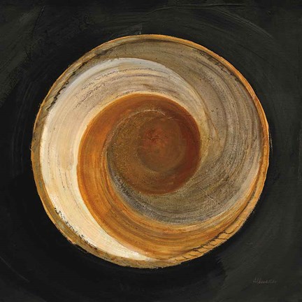 Framed Woven Beauty I on Black Print