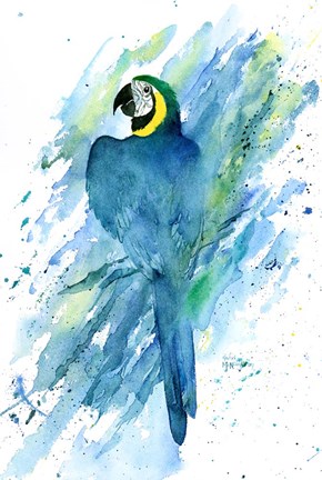 Framed Green Macaw Print