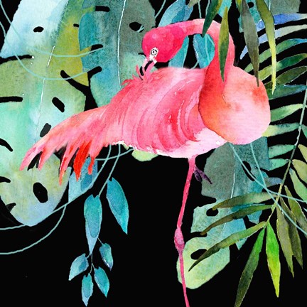 Framed Brazil Flamingo Print