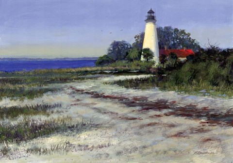 Framed St. Marks Lighthouse Print
