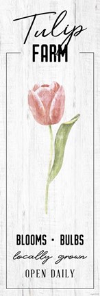 Framed Tulip Farm Print