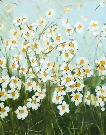 Framed Daisies Print