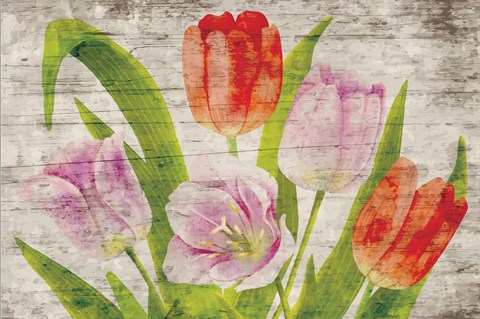 Framed Tulips II Print