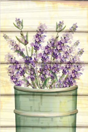 Framed Floral Lavender IV Print