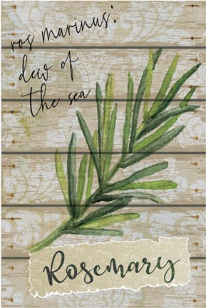 Framed Rosemary Print