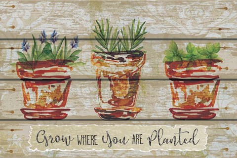 Framed Grow Where Print