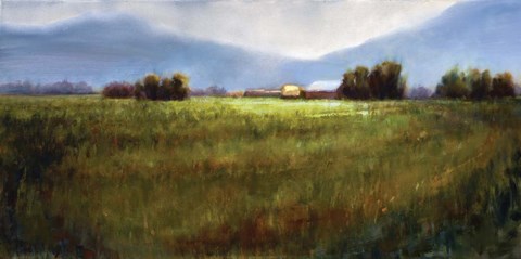 Framed Field of Joy Print