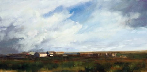 Framed Sky View Print