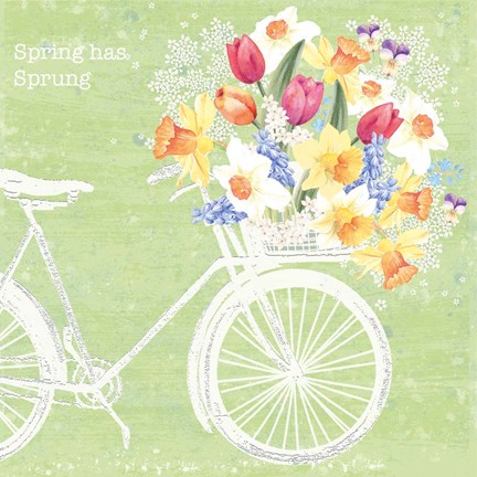 Framed Spring Sprung Print