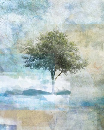 Framed Tree Abstract II Print