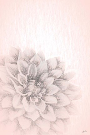 Framed Blue Chrysanthemum Print
