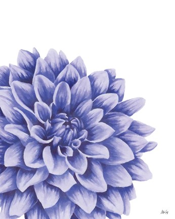 Framed Blue Chrysanthemum II Print