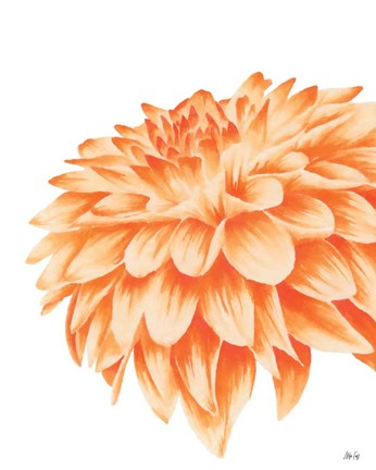Framed Orange Chrysanthemum Print