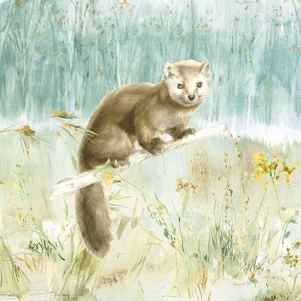 Framed Meadows Edge V Print