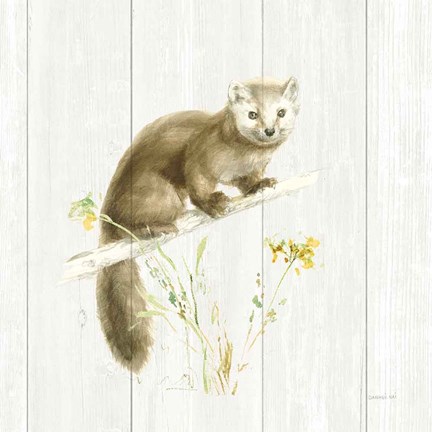 Framed Meadows Edge V on Wood Print