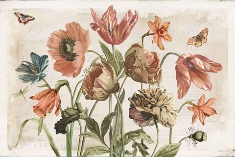 Framed Antiquarian Blooms II Print