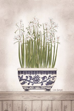 Framed Blue and White Paperwhites II Print