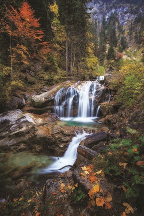 Framed Go With the Flow Print