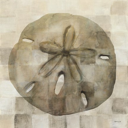 Framed Sand Dollar Print