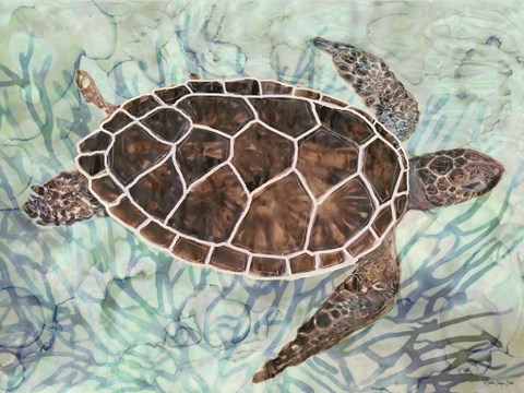 Framed Sea Turtle Collage 1 Print