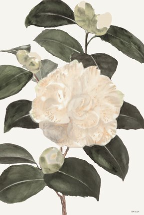 Framed White Botanical III Print