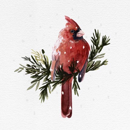 Framed Cardinal with Snow I Print