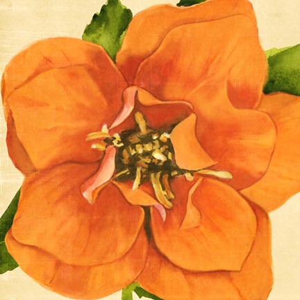 Framed Copper Petals I Print