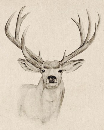 Framed Natural Buck I Print