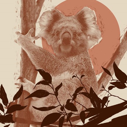 Framed Pop Art Koala II Print