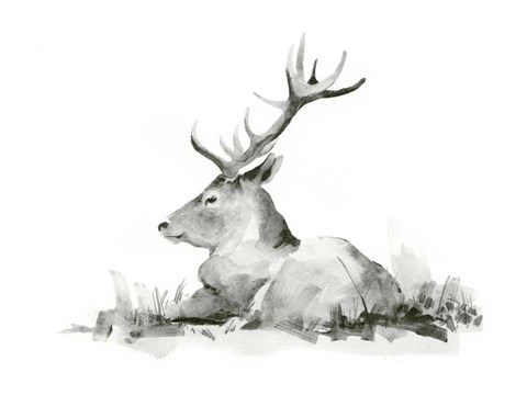 Framed Recumbent Stag II Print