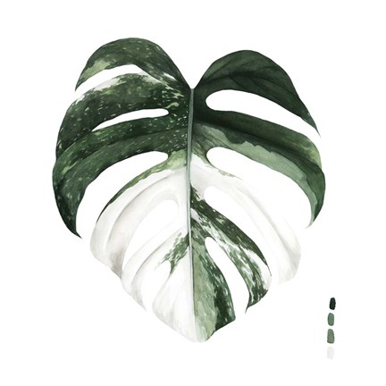 Framed Variegated Monstera I Print