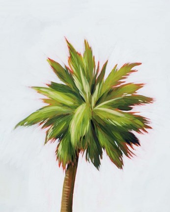 Framed Palm Glow II Print