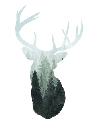 Framed Forest Majesty II Print