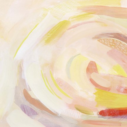 Framed Sunburst Blossom II Print