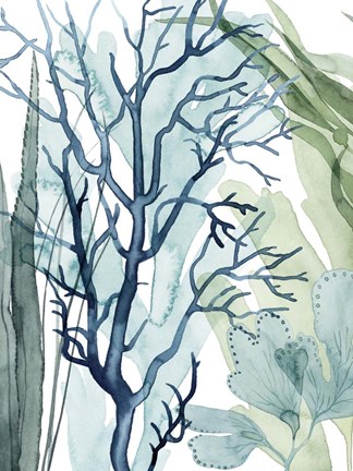 Framed Sea Leaves I Print